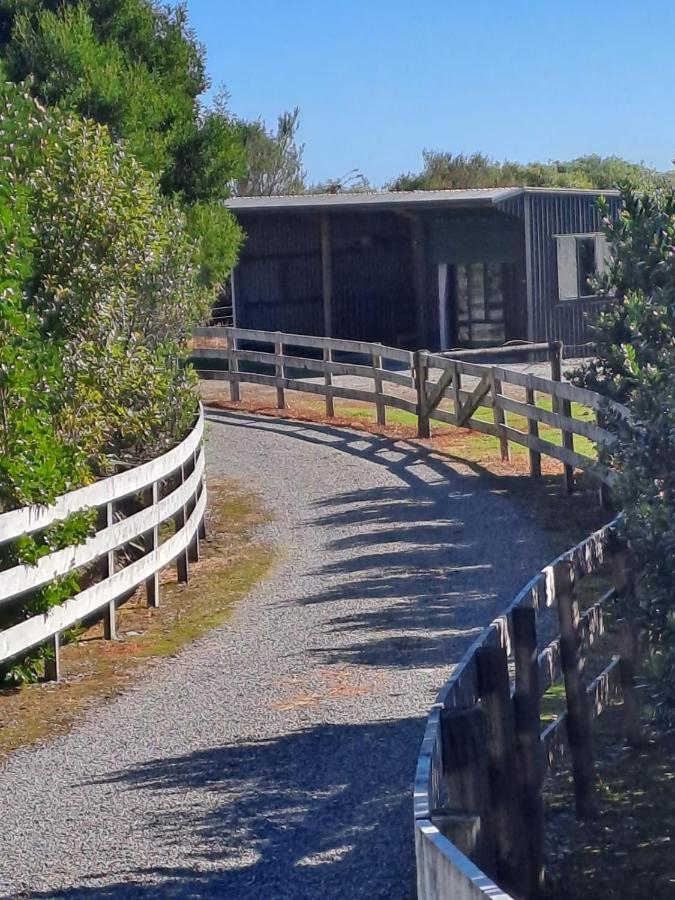 Koru Beachfront Holiday Cabins & Hot Tub Barrytown Exterior foto